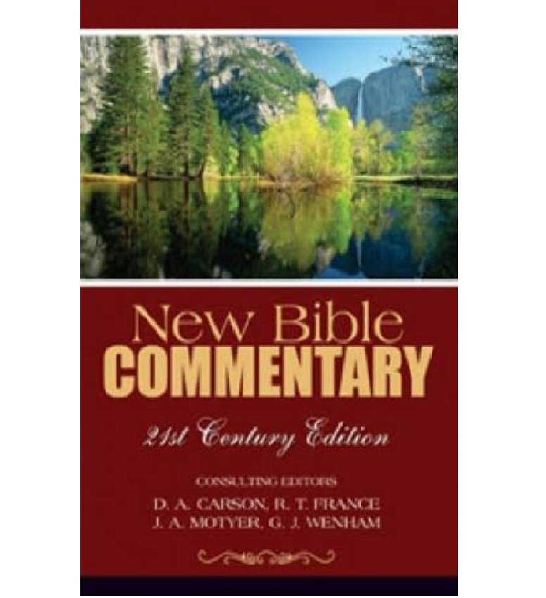 New Bible Commentary Reform Books